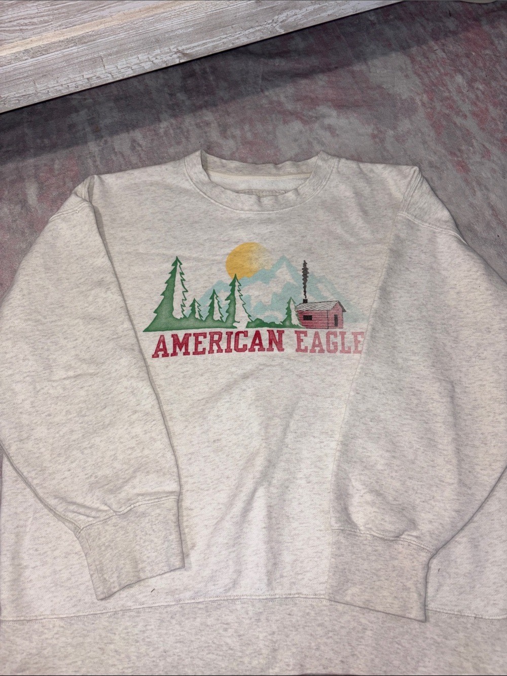 American Eagle Outfitters Light Gray Sweatshirt with Graphic